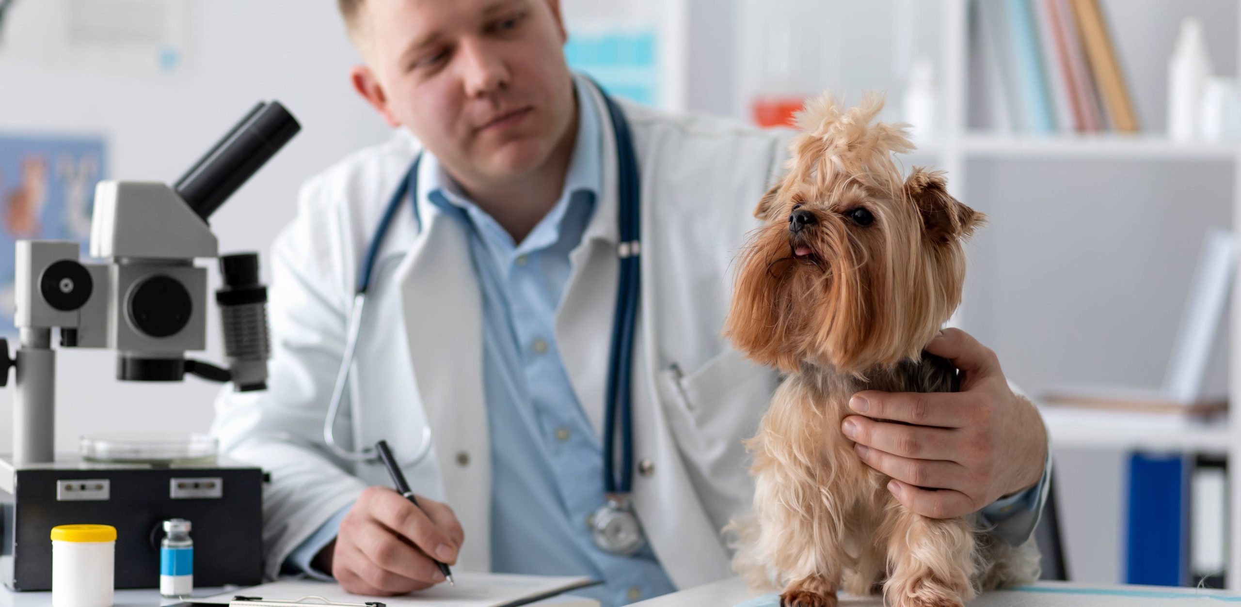 CBC at Animal Medical Centre DHA