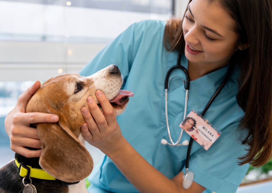 Treatment at Animal Medical Centre DHA