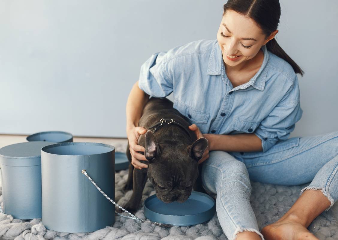 Dental Care at Animal Medical Centre DHA