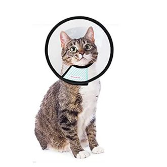 E Collar Adult Cat – Size No. 5