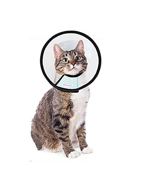 E Collar Adult Cat – Size No. 5