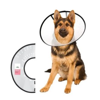 E Collar Dog No 1