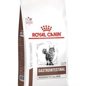 Royal Canin Gastrointestinal Adult Cat Food (2kg)